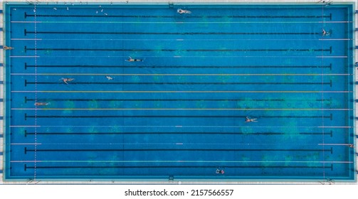 Aerial Top View Of Group Of Swimmers Training In Swimming Pool. Many Sportive People Swim In Open Water Swimming Pool.