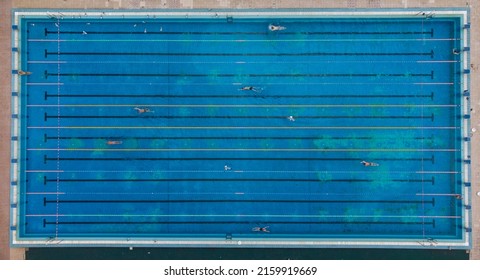 Aerial top view of group of swimmers training in swimming pool. Many sportive people swim in Open Water Swimming pool.