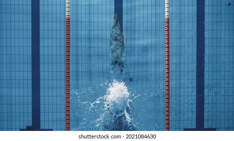 Aerial Top View Male Swimmer Jumping, Diving Into Swimming Pool, Creating A Big Splash. Professional Athlete Winning World Championship. Top Down View.