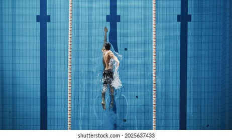 Vista aérea en la parte superior de la piscina de natación masculina. Entrenamiento profesional de atletas para el campeonato, utilizando Front Crawl, Freestyle Technique. Captura de vista superior