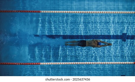 Aerial Top View Male Swimmer Swimming in Swimming Pool, Diving Underwater. Professional Athlete Training for the Championship, using Front Crawl, Freestyle Technique. Top Down View.