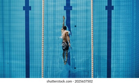 Aerial Top View Male Swimmer Swimming in Swimming Pool. Professional Athlete Training for the Championship, using Front Crawl, Freestyle Technique. Top Down View. - Powered by Shutterstock