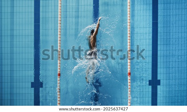 Aerial Top View Male Swimmer\
Swimming in Swimming Pool. Professional Athlete Training for the\
Championship, using Front Crawl, Freestyle Technique. Top View\
Shot