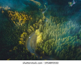 Aerial Top View Of Misty Forest With Road In The Mountains. Drone Photography. Rainforest Ecosystem And Healthy Environment Concept. 