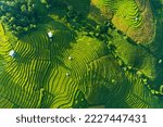 Aerial top view morning scene of Pa Bong Piang beautiful terraced rice fields, Mae Chaem, Chiang Mai Thailand. Mountain hills valley in asian, Vietnam. Nature landscape background. Roof plan