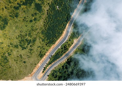 Aerial top view of mountain curve winding road through lush green landscape with morning mist and clouds. Serpentine road cuts through vibrant forest, offering scenic travel route - Powered by Shutterstock