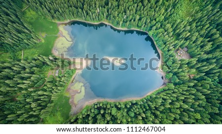 Aerial top view on heart of Ukrainian part of Carpathians Mountains - the lake Synevyr, similar approximately a dragon eye.