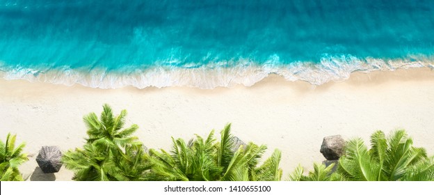 Kum plaj, palmiye ağacı ve okyanusta havadan üst görünüm