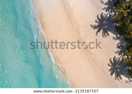 Aerial top view on sand beach. Tropical beach with white sand turquoise sea, palm trees under sunlight. Drone view, luxury travel destination scenic, vacation landscape. Amazing nature paradise island