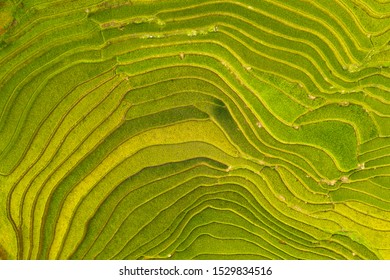 Aerial Top View Of Paddy Rice Terraces, Green Agricultural Fields In Countryside Or Rural Area Of Mu Cang Chai, Yen Bai, Mountain Hills Valley At Sunset In Asia, Vietnam. Nature Landscape Background.