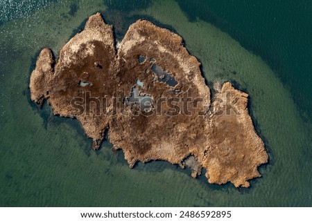 An aerial top view of a patch of brown grass in a salt marsh on a sunny day