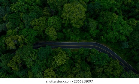 Aerial top view road in forest with car motion blur. Winding road through the forest. Car drive on the road between green forest. Ecosystem ecology healthy environment road trip. Nature concept.