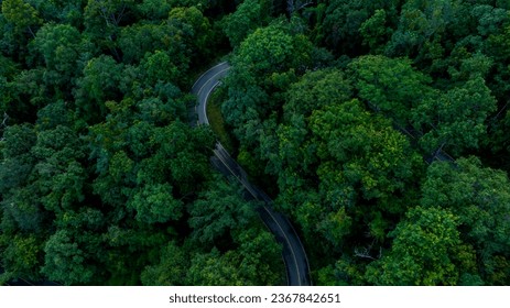 Aerial top view road in forest with car motion blur. Winding road through the forest. Car drive on the road between green forest. Ecosystem ecology healthy environment road trip. - Shutterstock ID 2367842651