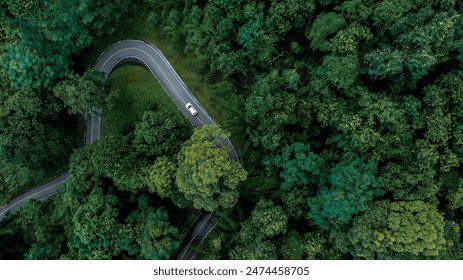 Aerial top view road in forest with car motion blur. Winding road through the forest. Car drive on the road between green forest. Ecosystem ecology healthy environment road trip.