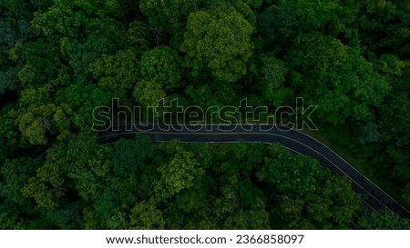 Aerial top view road in forest with car motion blur. Winding road through the forest. Car drive on the road between green forest. Ecosystem ecology healthy environment road trip. Nature concept.
