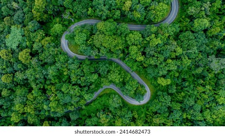 Aerial top view of road in forest.Winding road through the forest.Ecosystem ecology healthy environment road trip. Forest ecosystem and health concept and background, texture of green forest. - Powered by Shutterstock