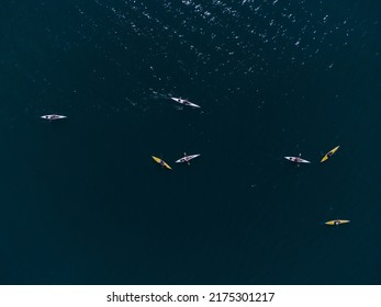 Aerial Top View Of A Small Group Of People Sea Kayaking