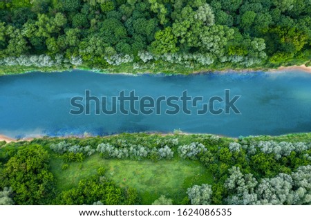 Aerial top view of summer green trees with a river, flowing in the forest
