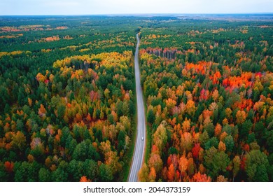 Aerial Top View Travel Drive Autumn Road In Yellow Forest, Concept Of Trip By Red Car.