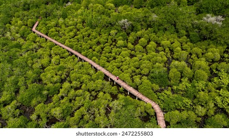 Aerial top view of wooden bridge, mangrove forest walkway at Koh Chang,Trat,Thailand. - Powered by Shutterstock