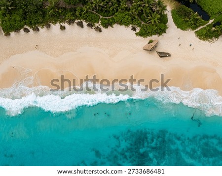 Aerial top-down drone view of a pristine tropical beach in Seychelles, showing turquoise crystal-clear water gently meeting soft white sand, with lush green vegetation along the shoreline. Minimalist composition highlights untouched nature, calm ocean waves, and the serene beauty of an island paradise in the Indian Ocean.