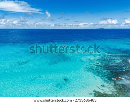 Aerial top-down drone view of a pristine tropical beach in Seychelles, showing turquoise crystal-clear water gently meeting soft white sand, with lush green vegetation along the shoreline. Minimalist composition highlights untouched nature, calm ocean waves, and the serene beauty of an island paradise in the Indian Ocean.