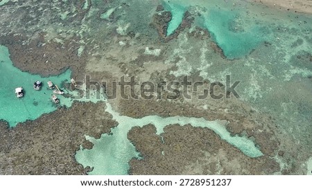 Aerial top-down view of Pontal do Cupe Beach in Porto de Galinhas, Ipojuca, Pernambuco. People swimming in the turquoise water and natural pools formed by coral reefs on beautiful sunny day in Brazil.