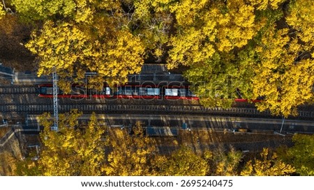 Aerial top-down view of a train standing at the station on an autumn day, with yellow treetops covering the electric lines and tracks.