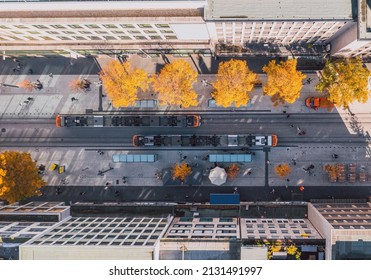 Aerial urban view above the German autumn street full of life with yellow trees squeezing between asphalt, city trams passing each other and people taking a walk or shopping. Mannheim, Germany.