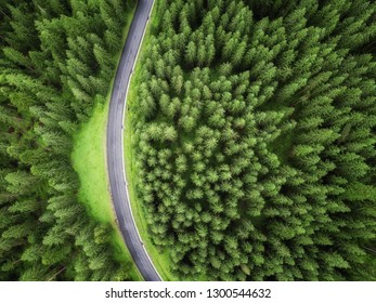 Aerial Veiw Of Empty Road In Green Forest. Drone Shot