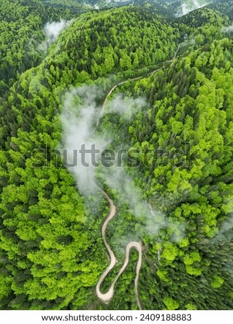 Aerial vertical drone panorama above a dirt road winding through beech woodlands. Rainy day. Low altitude clouds form above the mountain peaks. Spring season, the tree leaves are bright green
