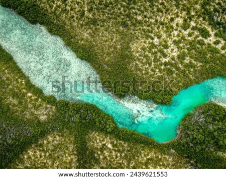 Aerial vie of a natural turquoise sea water channel that runs through a red mangroves swamp of the Princess Alexandra National Park in the Turks and Caicos Islands