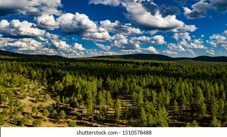 Aerial View Above The Pine Trail Head Near Pine And Arches State Park, Arizona On A Beautiful Cloudy Day With Green Pine Trees, Blue Sky, Hills, Ridges Along The Mogollon Rim