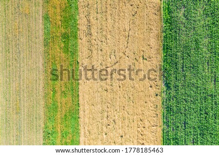 Similar – Combine harvester harvests a grain field in the evening light from the air