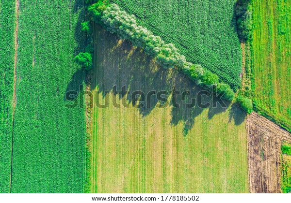 Aerial view of\
agricultural fields in Europe, Poland. Beautiful landscape.\
Captured from above with a\
drone