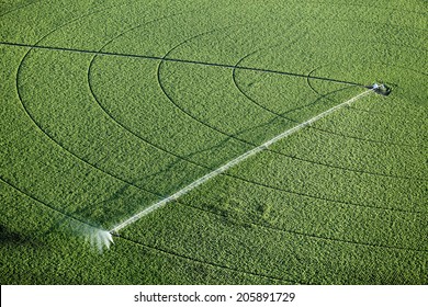 An aerial view of an agricultural sprinkler in a potato field - Powered by Shutterstock