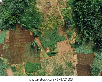 Aerial View Of Agriculture In Africa