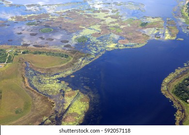 Aerial View Of An Algae Bloom In Lake Okeechobee In Florida, A Source Of Pollution To The Water System And To The Everglades.