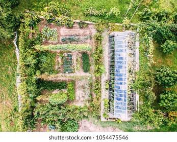 An Aerial View Of An Allotment.