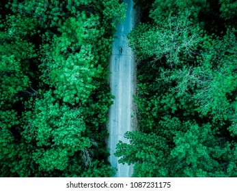 aerial view of alone man walking in the dark moody forest road