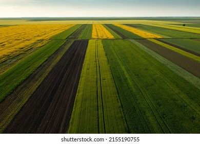 Aerial view with the amazing geometry texture landscape of a lot of agriculture fields with different plants like rapeseed and wheat. Farming industry. - Shutterstock ID 2155190755