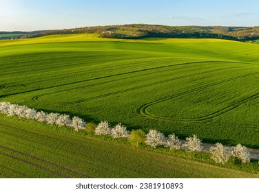Aerial view of amazing green wavy hills with agricultural fields and blooming garens in spring. South Moravia region, Czech Republic, Europe