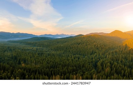 Aerial view of amazing scenery with dark mountain hills covered with forest pine trees at autumn sunrise. Beautiful wild woodland at dawn - Powered by Shutterstock