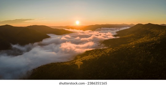 Aerial view of amazing scenery with foggy dark mountain forest pine trees at autumn sunrise. Beautiful wild woodland with shining rays of light at dawn