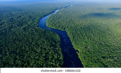 Aerial View Of Amazon Rainforest In Brazil