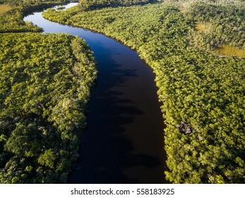 Aerial View Of Amazon Rainforest, Brazil