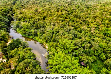 Aerial View Of Amazon Rainforest, South America