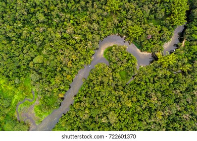 Aerial View of Amazon Rainforest, South America
