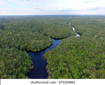 Aerial View Of Amazonia Forest, Near Novo Airão City, Amazonas, Brazil