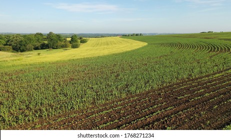 Aerial View Of American Countryside Landscape, Farmland. Drone Flying Over Contrast Rows Of Agricultural Field. Rural Scenery, Farm. Sunny Daytime, Summer Season